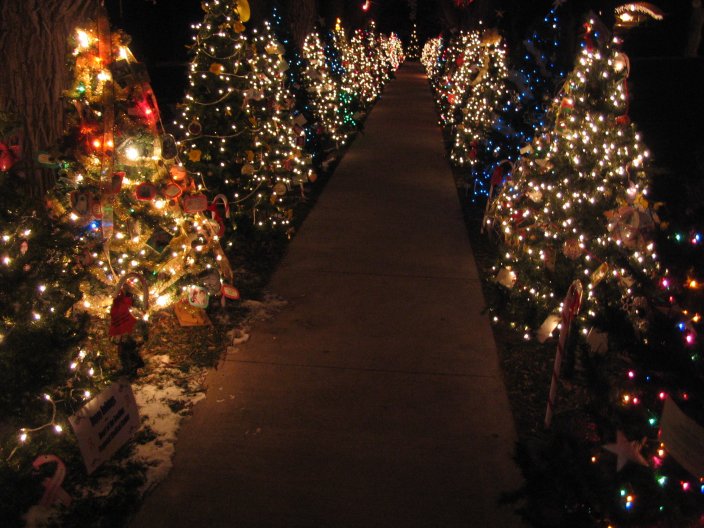 Beautiful+Christmas+Lights+Galore%21
