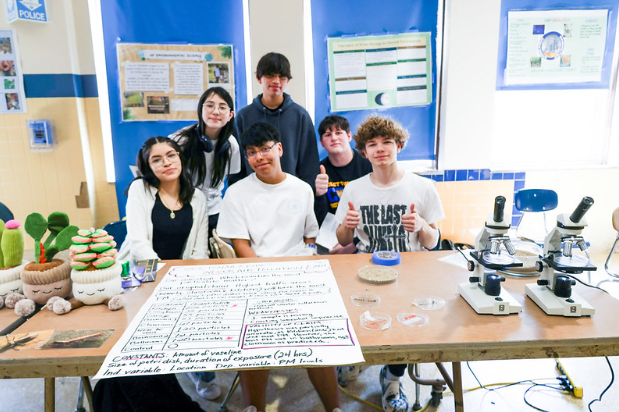 STEM Fair Fun
